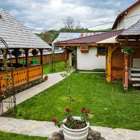 Pensiunea Casa Traditiilor 3*
