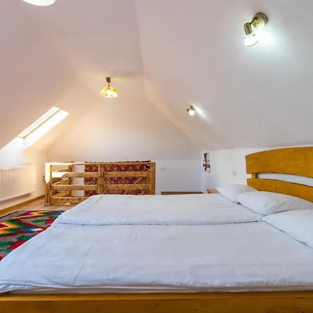 Pensión Pensiunea Casa Traditiilor 3*
