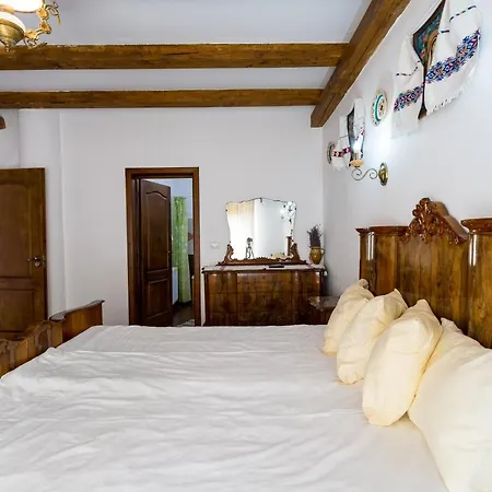 Pensiunea Casa Traditiilor 3* Ieud
